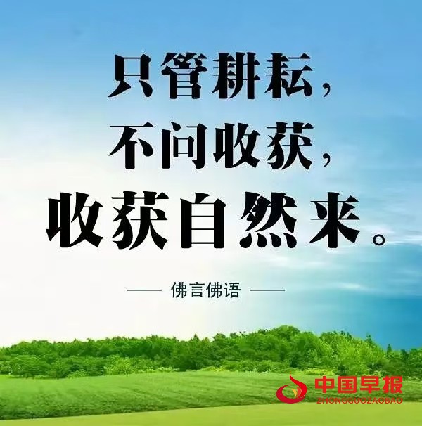 1725522175205000.jpg 444.jpg