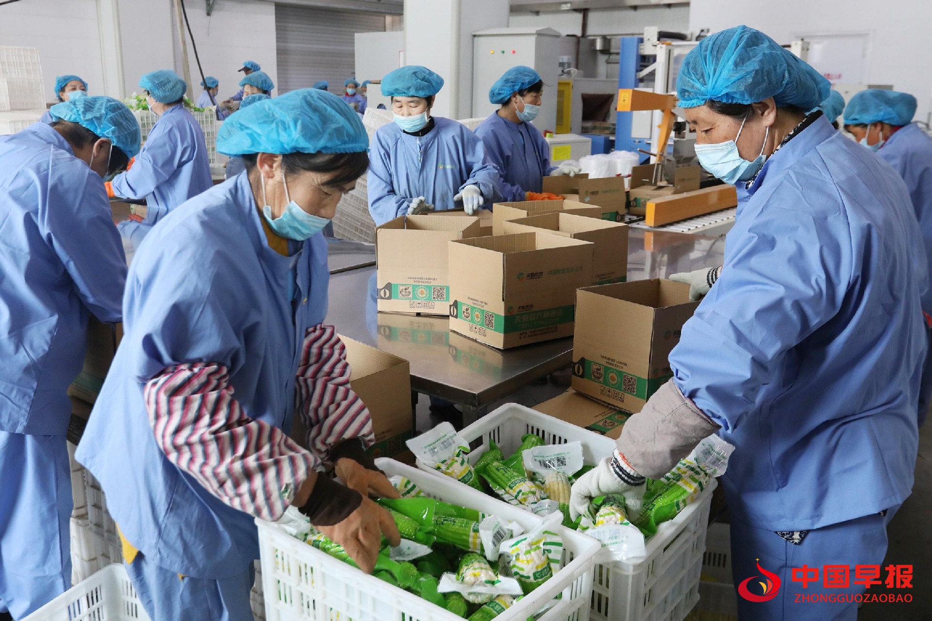 1728451177286548.jpg 图片08.jpg