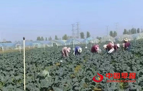 1730886922129647.jpg 微信图片_20241106174558.jpg