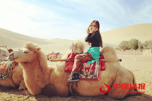 1733106316627603.png 骆驼.png