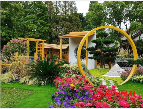 1737870317201957.png 美丽风景3.png