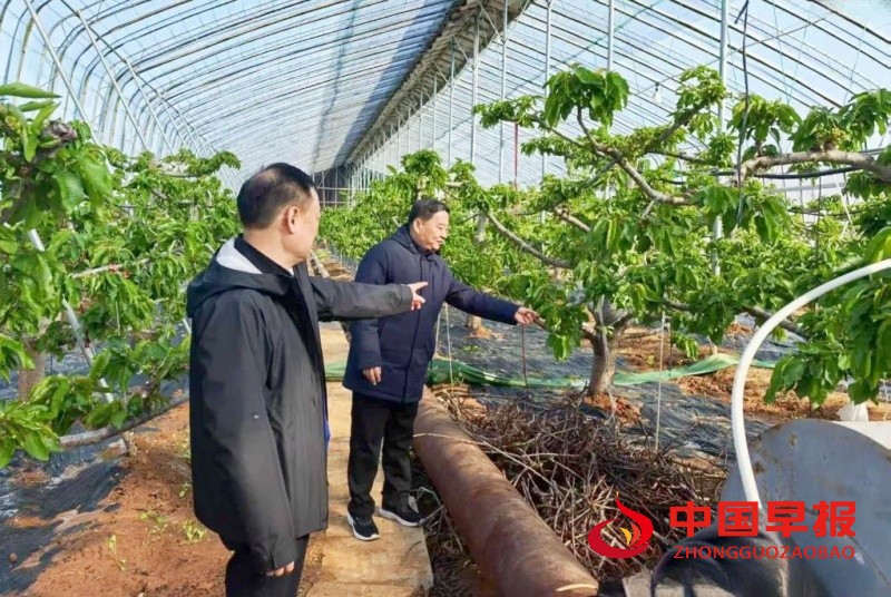 1741219240172473.jpg 640 (2)_副本.jpg