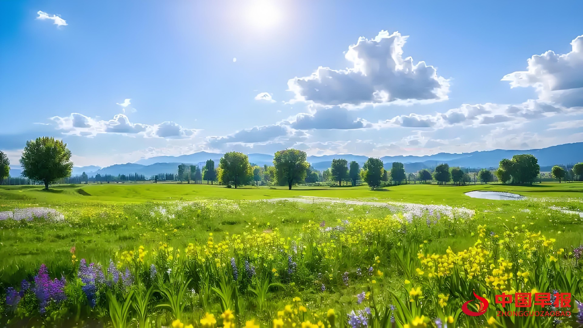 1742199724204585.jpg 图片01.jpg