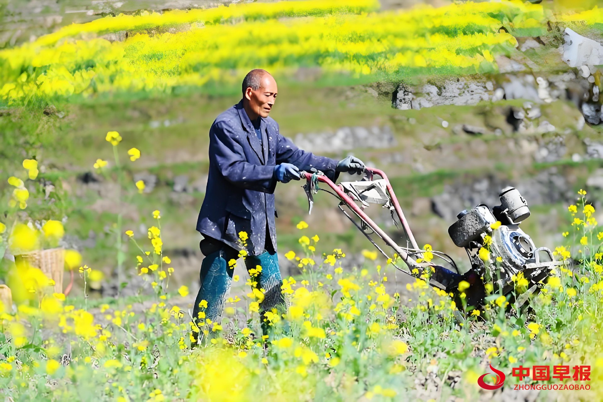 1742199907198534.jpg 图片04.jpg