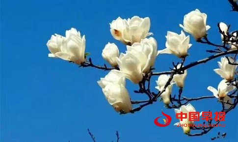 1742392466107482.jpg 微信图片_20250319214955.jpg