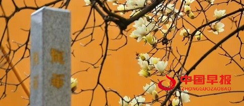 1742901089107391.jpg 微信图片_20250325190635.jpg