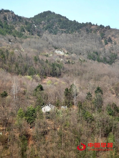 1744178289155607.jpg 微信图片_20250409134310.jpg