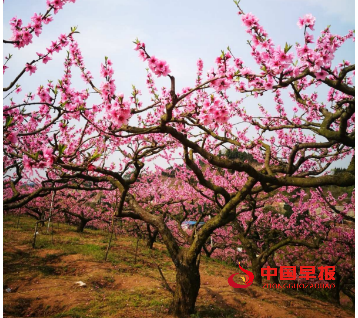 1746506811138163.png 8db968e2a7333ca3f33cd64724e3c7e.png