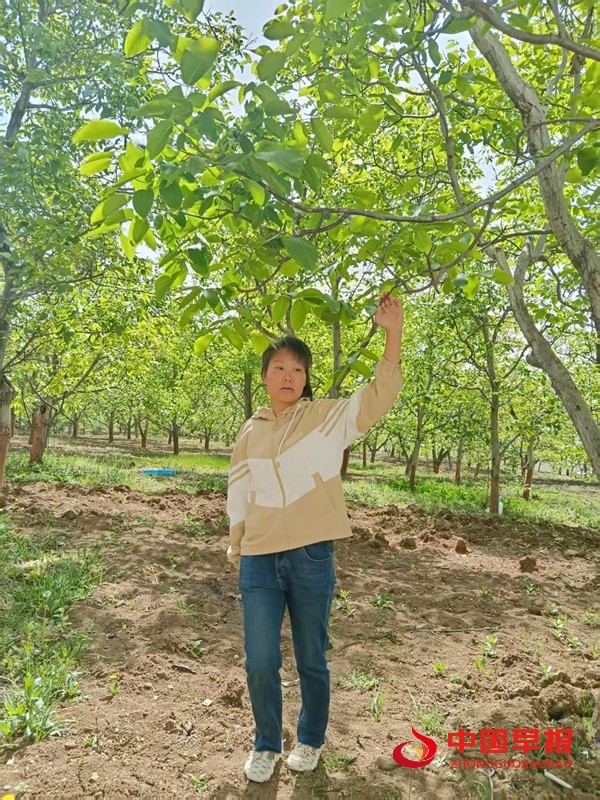 1747088016808475.jpg 微信图片_20250513060535.jpg