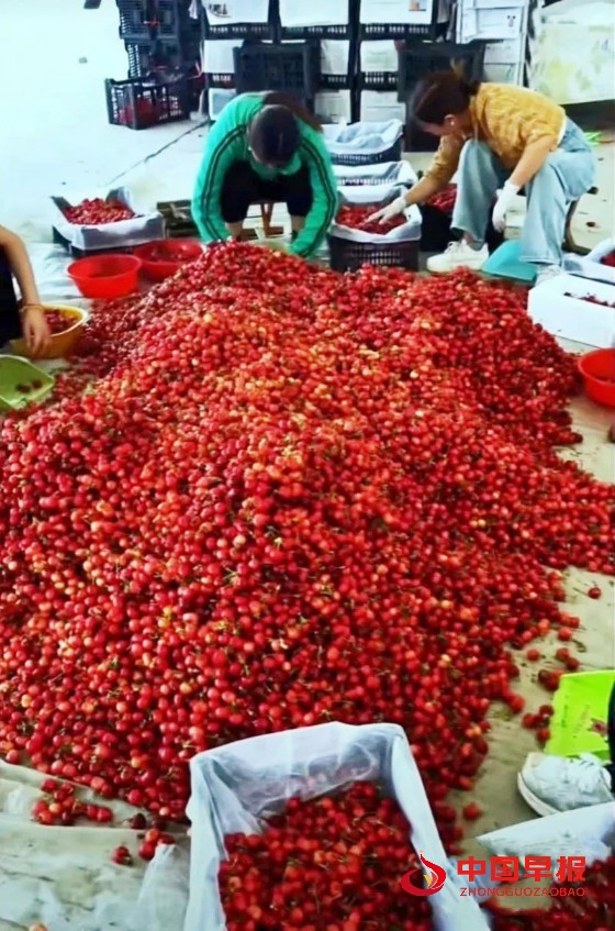 640 (1)_副本_副本.jpg