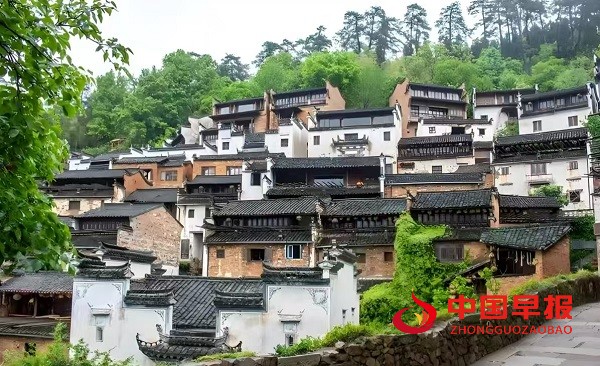 1748421081809542.jpg 微信图片_20250528162148.jpg