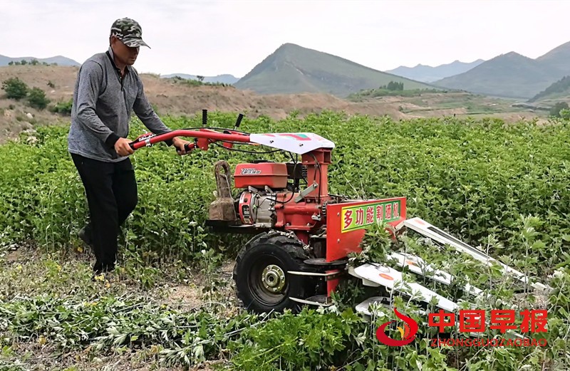 1749805402119511.jpg 微信图片_20250613164805_副本.jpg