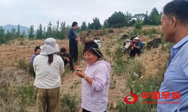 1749919056960546.jpg 微信图片_20250615003109_副本.jpg