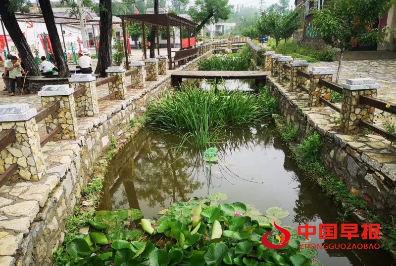 1750173066314294.jpg 2_副本.jpg