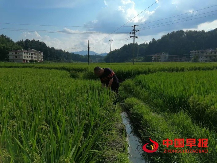 1753523547752142.jpg 1753523547752142.jpg