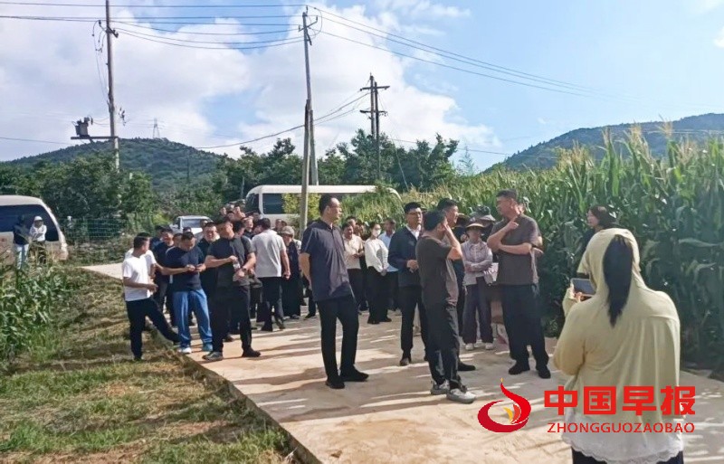 1753804063165645.jpg 640 (3)_副本.jpg