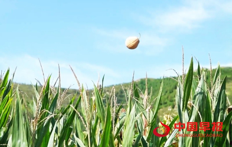 1758555995609680.jpg 微信图片_20250922233333_1233_35_副本.jpg