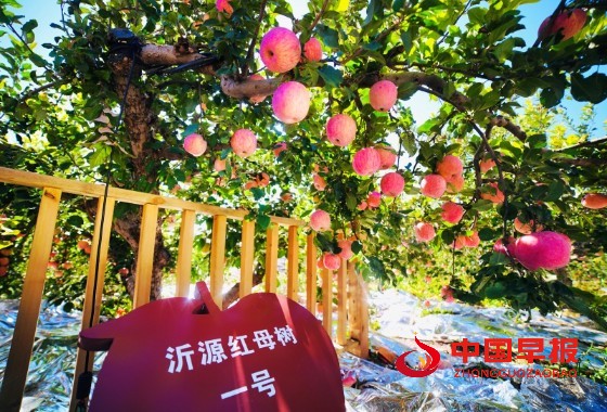 1759665958716558.jpg 2_副本.jpg