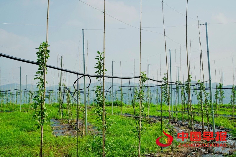 1759665975121480.jpg 4_副本.jpg