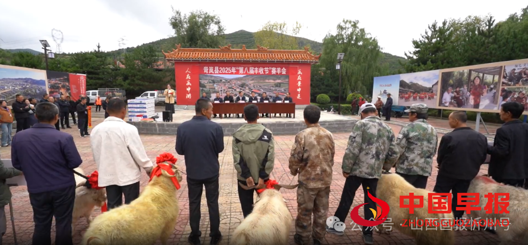 1760340618956597.png 图片05.png