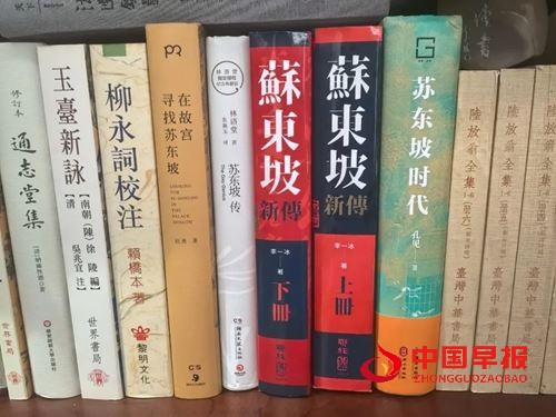 豁达就是无奈之下努力跟自己和解——以苏东坡为例(图9)