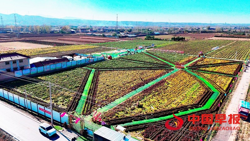 1764040380165772.jpg 微信图片_20251125075014_287_15.jpg