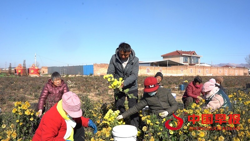 1764040432138902.jpg 微信图片_20251125075017_290_15.jpg