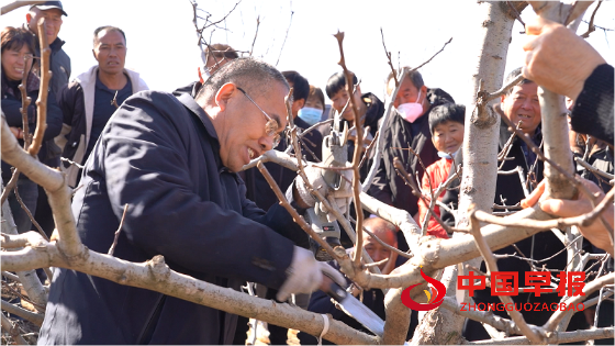 1764300596114566.png 微信图片_20251128105509_322_15.png