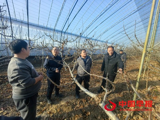 1764300641838106.jpg 微信图片_20251128105508_321_15.jpg