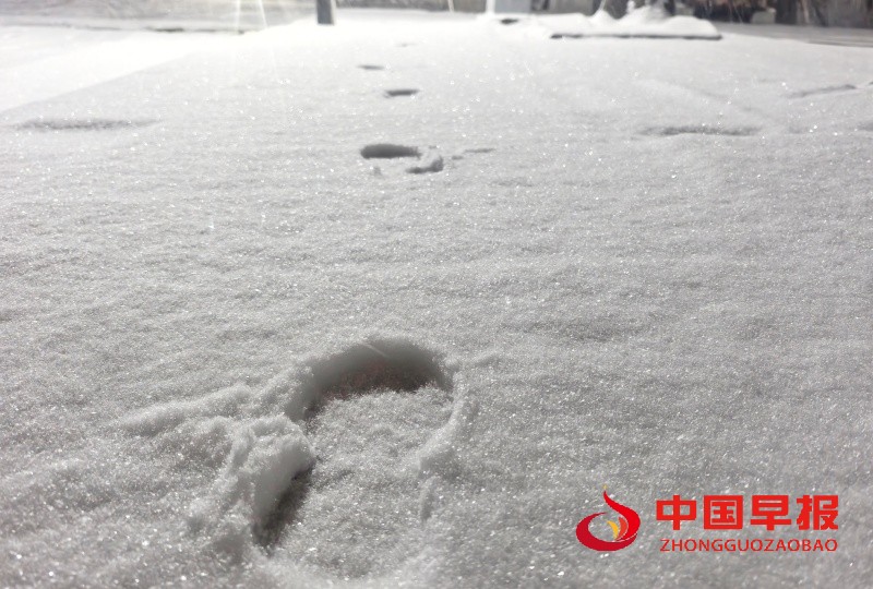 1765549522280163.jpg 微信图片_20251212211553_4116_35_副本.jpg