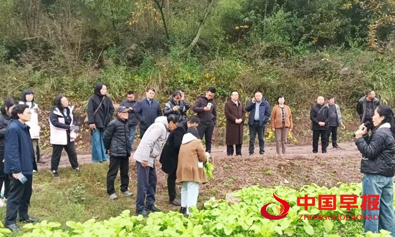 1766125559495605.jpg 1_副本.jpg