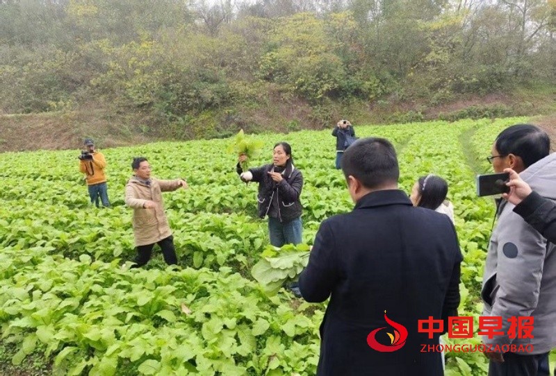 1766125575694752.jpg 3_副本.jpg