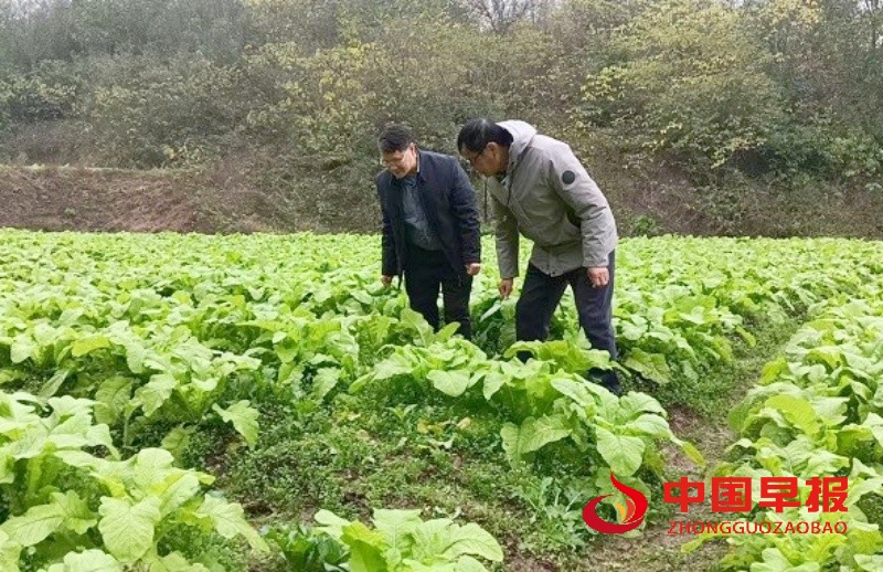 1766125583337924.jpg 4_副本.jpg