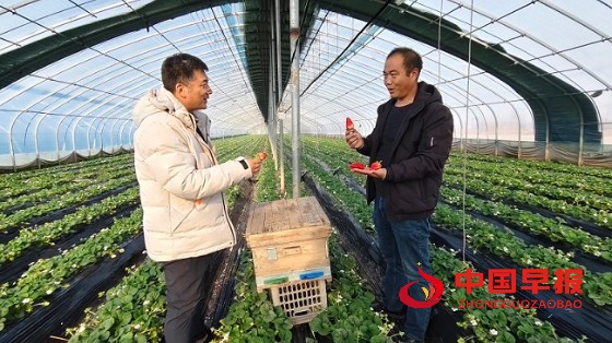 1766370222203304.jpg 微信图片_20251221185925_424_15.jpg