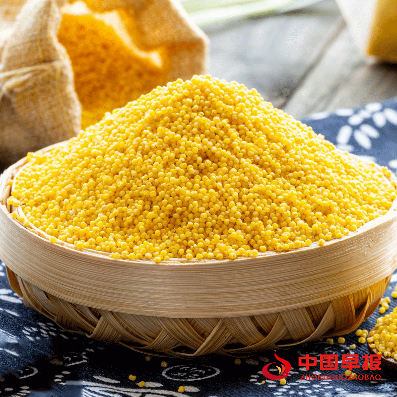 1766565069158401.png 图片02.png