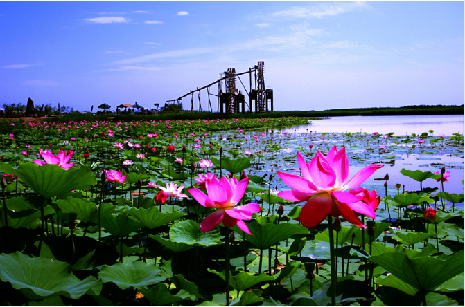 1767684922636518.png 1美丽长湖图片.png